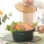 Import Unique Kitchenware Nonstick Round Soup Pot With Handle from China