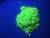 Import Used for tube rare earth green CAT phosphor powder hot sale from China