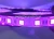 Import UV LED Strip light Purple 390-395nm IP65 24V SMD5050 from China