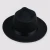 Import Vintage Men Women Hard Felt Hat Wide Brim Fedora Trilby Panama Hat from China