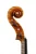 Import Violin Linea Macchi Stradivari model -  handmade in Cremona for Professional Use from Italy