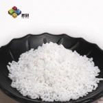 virgin plastic raw material Na2SO4 masterbatch price for PP PE plastic bags