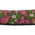Import Webbing Hand Bag Strap Garment Belt 2 High Quality Flower Pattern Jacquard Polyester / Nylon 2 Inch;50 Mm Width 2.3MM from China
