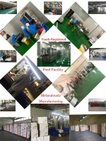 White Pepper Spice, Black Pepper Price, Vietnam Black Pepper 500 KOSHER/ HALAL/ HACCP