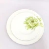 White superior quality ceramic dinner wares,plates,bowls,cups spoons and other wares