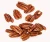 Import Whole Pecan nut in shell from USA