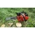Import Wholesale 1.1.kw Gas 25cc Chain Saw 2-stroke Gasoline Portable Chain Saw from China