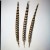 Import Wholesale 50-60cm natural Faisan Pluma Reeves venery pheasant feather for Carnival Festival from China