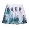 wholesale Custom  polyester print Landscape painting Water Repellent Quick Drying men  Beach Shorts  swimwear beachwear