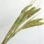 Import wholesale Dried grass Preserved Eternal Forever Flowers dried millet from China