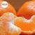 Import Wholesale Frozen Fresh Mandarin Citrus Orange/Navel Oranges, valencia, Mandarin, Tangerine, Lemons, Clementine, citrus fruits from Pakistan