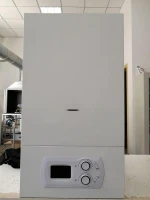 Wholesale High Efficiency Combustion Wall Hung Gas Boiler