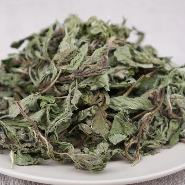 wholesale high quality dried  organic mint leaves tea mint leaf peppermint teeth whitening mints