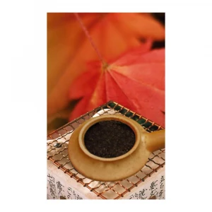 Wholesale natural healthy organic hojicha powder tea leaves for afternoon tea