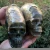 Import Wholesale Special Hand Carved Ammonite Fossil Stone Crystal Skulls For Sale from China