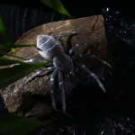 wholesale spider outdoor sports fly fishing soft lures