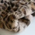 Women Long Fur Coat Faux Fur Winter Leopard Coats