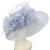 Import Women&#39;s Summer Sinamay Kentucky Derby Feather Bridal Party Beach Sun Hat Millinery from China