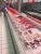 X1-20 integral fish meat display refrigerator use  for supermarket and butcher refrigeration equipment