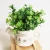 Import ZERO Pastoral Artificial Mini Flowers Plants Bonsai with Ceramic Pot from China