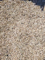 Sesame Seeds