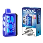 Best Wholesale Price Vozol Rave 40000 Puffs Blueberry Ice High Puff Rechargeable Vape Sydney Australia Global