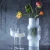 Import LSA Imported Hand-Frosted Glass Vase from China