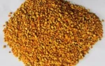 bee pollen in bulk directly from beekeeper