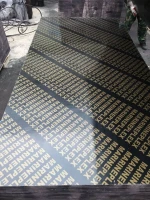 finger joint core film faced plywood