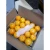 Import Mandarin kinnow from Pakistan