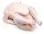 Import Brazil origin halal frozen whole chicken from United Kingdom