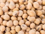 Wholesale IQF Green Soy Beans