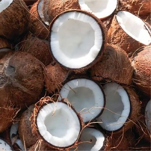 Semi Husked Coconut