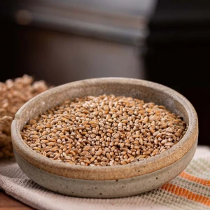 Natural Wheat Grain Wholesale Supply Wheat Grain Maintained With Low Foreign Matter Content