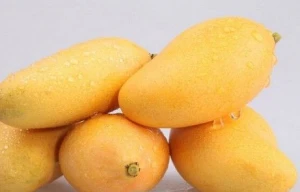 Fresh Mangos