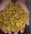 Import Golden Raisins from India