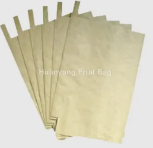 Yellow Mango Protection Bags