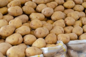 High quality 100% Organic fresh Potatoes from south africa