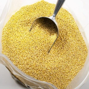 Yellow Millet Seeds - Premium Quality