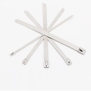304 Naked Stainless Steel Cable Tie Ball Lock Type