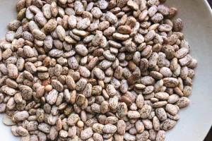 Premium Quality Pinto Beans – Bulk Supply for Export & Wholesale