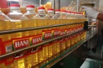 Palm Oil