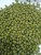 Import Green Mung beans from Peru