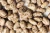 Import Premium Quality Pinto Beans – Bulk Supply for Export & Wholesale from Kenya