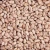 Import Premium Quality Pinto Beans – Bulk Supply for Export & Wholesale from Kenya