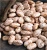 Import Premium Quality Pinto Beans – Bulk Supply for Export & Wholesale from Kenya