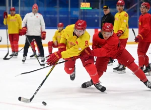 1000×2000×15mm UHMWPE Sheet Synthetic Ice Tile for Hockey Shooting Training