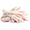 Frozen Quality Frozen Halal Chicken Meat / Fresh / Frozen / Processed Chicken Feet / Paws / Claws