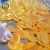 Import Healthy Snack Food - Mango Chips Vegan According to Halal Standards from Vietnam