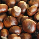 Premium Quality Chestnut Kernels High Natural Energy Fresh Harvest Bulk Supply For Global Buyers